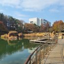 우리 집 개들과의 산책-서울 강서구 가양동 구암공원 호숫가 이미지