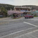 동막고개길 | 쌍령지맥(雙嶺枝脈) 02구간 안성 덕암산(德岩山 165) 2026. 04. 14.