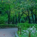 청솔한옥 이미지