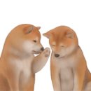 아이봄치과의원 네이버블로그