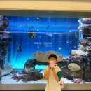 수원시 영통구 광교중앙로 | 수원여행 | 갤러리아 광교 초등 아이와 식당 추천 &amp; 아쿠아플라넷 후기