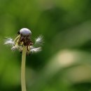 그림이있는 풍경 이미지