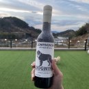 두치네민박 이미지