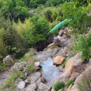 옥천1382 이미지