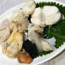 불새다찌