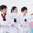 캐슬어울림태권도사관학교 이미지