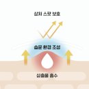 대한메디 | 마데카 메디패치 프리컷 동국제약 습윤드레싱 상처 케어 후기
