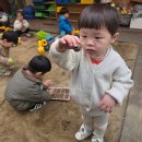 숲속자연어린이집 이미지