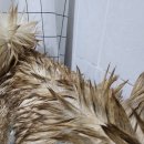 순수동물병원 이미지