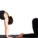 키크는 요가 이미지