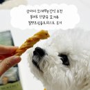 강아지 오래먹는간식 추천 볼레로 산양유 요거츄 칠면조힘줄 트위스트 후기