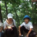 왕순례묘 이미지