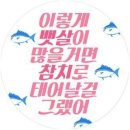 다와점핑&온열다이어트