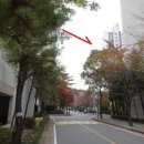 조원동-10 이미지