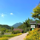 교동장독대마을회영농조합법인 네이버블로그