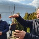 꽃담정원 이미지