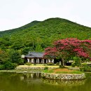 산방로8 이미지