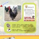 늘푸른청계농원 이미지