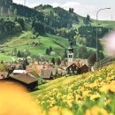 꽃길만걷자 이미지