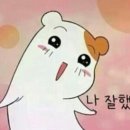 봄날의 강아지 이미지