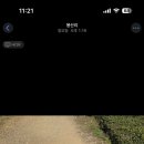 보성자원 | [W21_결혼준비] 광주, 전남 근교 셀프웨딩스냅사진 장소 추천 (쉬인 드레스 후기)