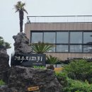 주나펜션 | 쇠소깍 펜션 게우지코지펜션 | 9만원에 즐긴 서귀포 오션뷰 숙소