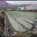 안의농협주유소 이미지