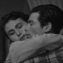 핑크 체리 이미지