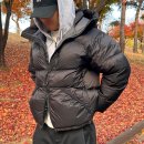 다운& | 아웃스탠딩 패딩 구스 다운 후기 남성 겨울 패딩 추천