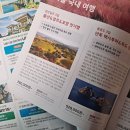우리종합 행정사사무소 이미지