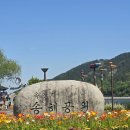 The Ark(디아크) | 대구 가볼만한 곳 모음 | 옥연지 송해공원, 강정보디아크 광장, 불로동고분군