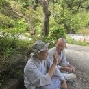 삼정사 Daum카페