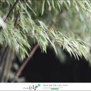 양초 111차 울산문수산.태화강 십리대숲길산행 이미지