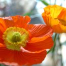 마음소리예술심리상담연구소 이미지