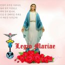 바다의별