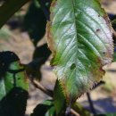 목원농장 이미지