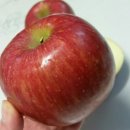 청솔농원 이미지