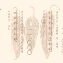 토가라시