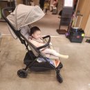 오토폴딩 유모차 추천하는 잉글레시나 나우 한달 사용후기