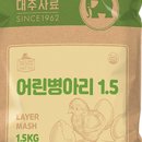 병아리펜션 이미지