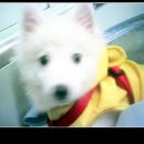 단비 Daum카페
