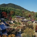영주 이미지