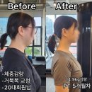 리부트핏 이미지