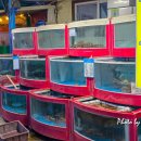 왕돌회수산 이미지