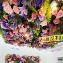 공간-조화 이미지