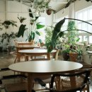 달콤한 푸른농장 이미지