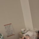 톤즈의원 | 인천 부평 피부과 톤즈의원 부평점 스킨보톡스 + 아이리프팅 보톡스 후기