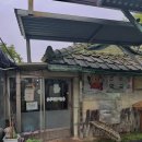 맛있는오칠구(하양역점) 이미지