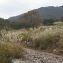 재약산식당 이미지