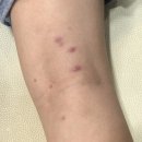 아이앤맘한의원 이미지
